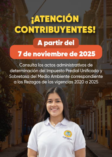 Consulta y Liquida Liquida Factura