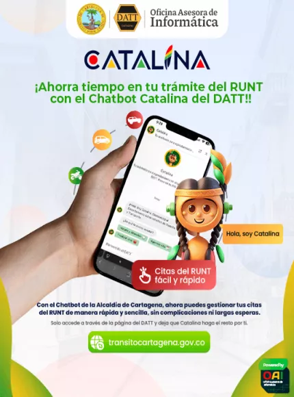 Banner catalina movil