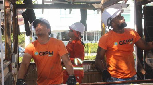 Recuperación Parque Flanagan