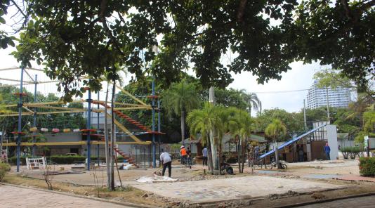 Recuperación Parque Flanagan