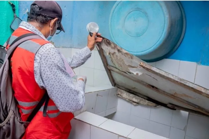 Día Internacional de la Lucha Contra el Dengue
