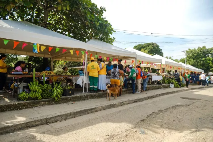 Frutas, verduras, hortalizas y otros alimentos de la canasta familiar se encontrarán en las plazas móviles.