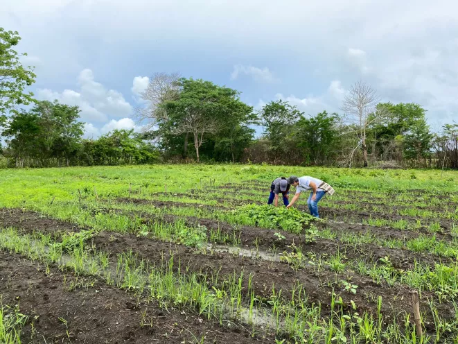 En el marco del Día del Campesino y los 490 años de la ciudad