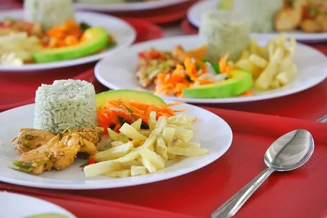  Programa de Alimentación Escolar,