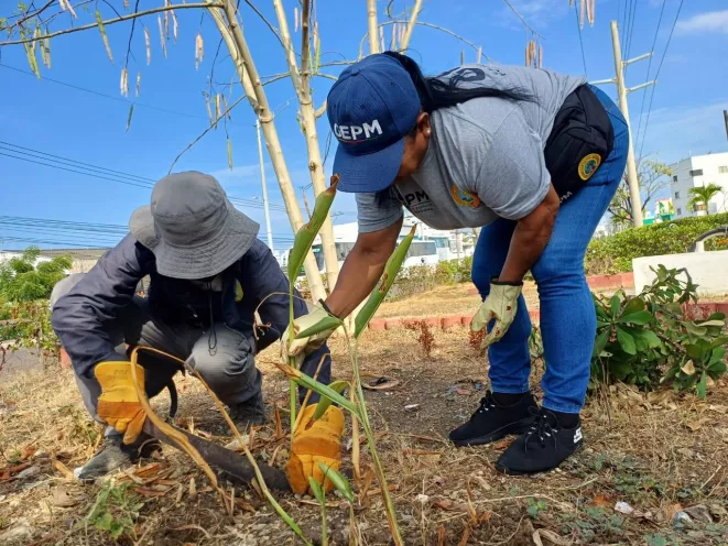 Mes del espacio público