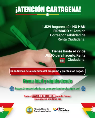 Renta ciudadana 
