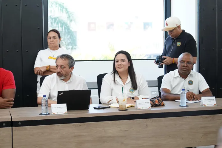 Organizacion