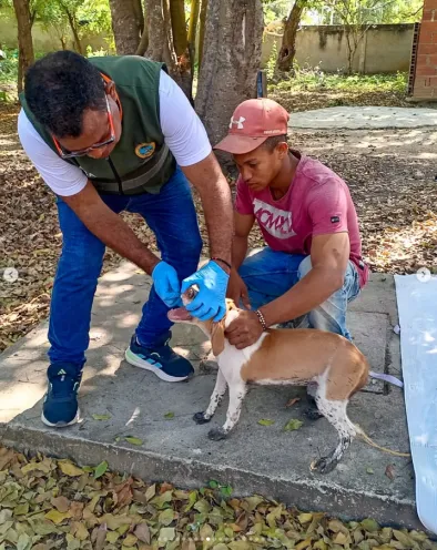 Médico veterinario y auxiliar examinando a un perro en exteriores durante una jornada de atención veterinaria en Barú.