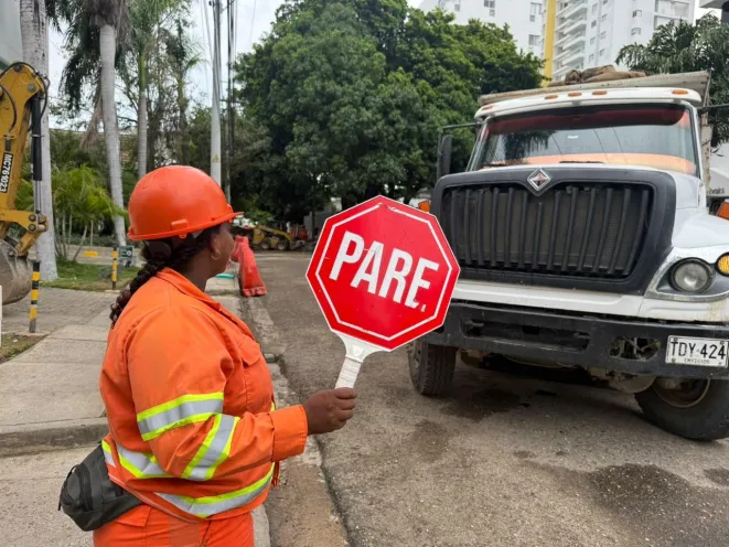 Avenida de Manga