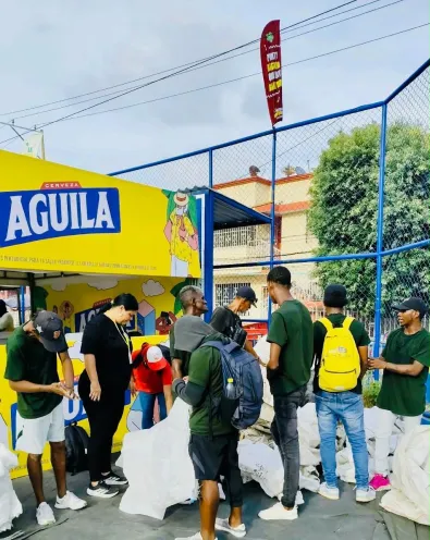 Recogedores 