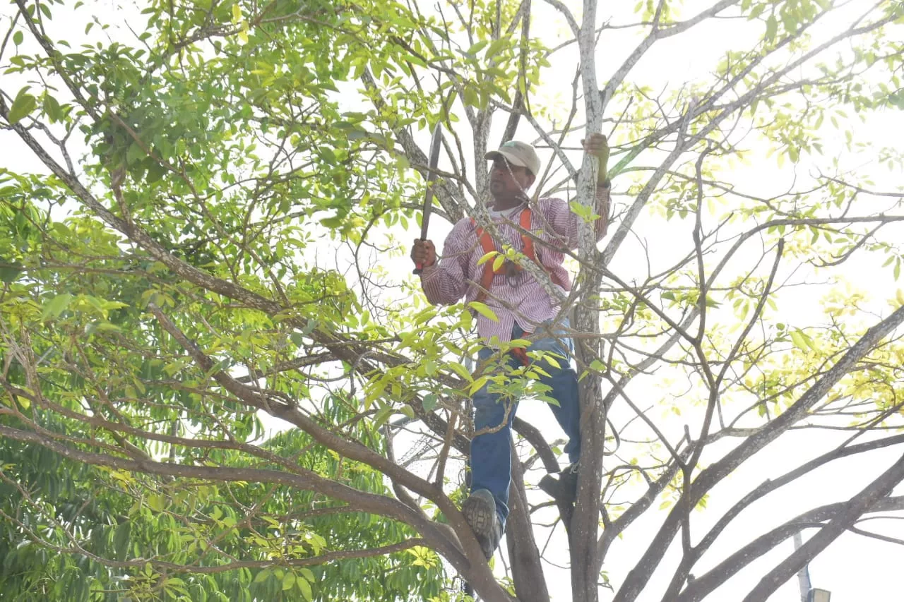 EPA Cartagena atiende como prevención 