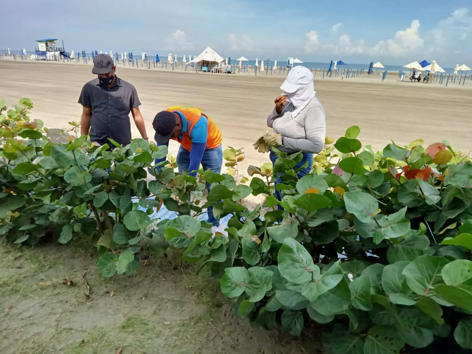 Playa Azul La Boquilla está próxima a recibir el cuarto galardón consecutivo