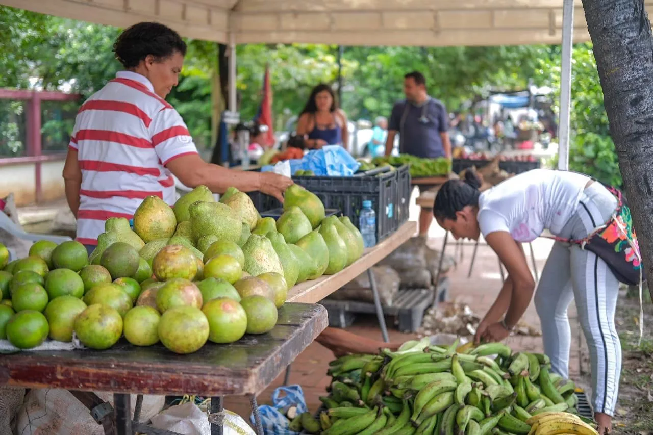 Frutas, verduras y hortalizas serán algunos alimentos que se podrán encontrar en esta jornada liderada por la Alcaldía de Cartagena