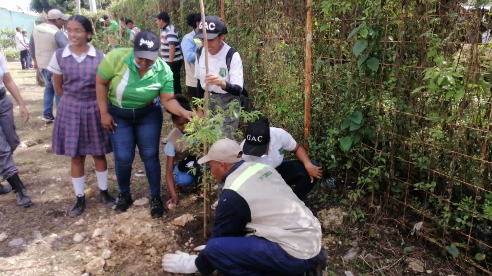 Se sembraron árboles de diversas especies, entre frutales y maderables