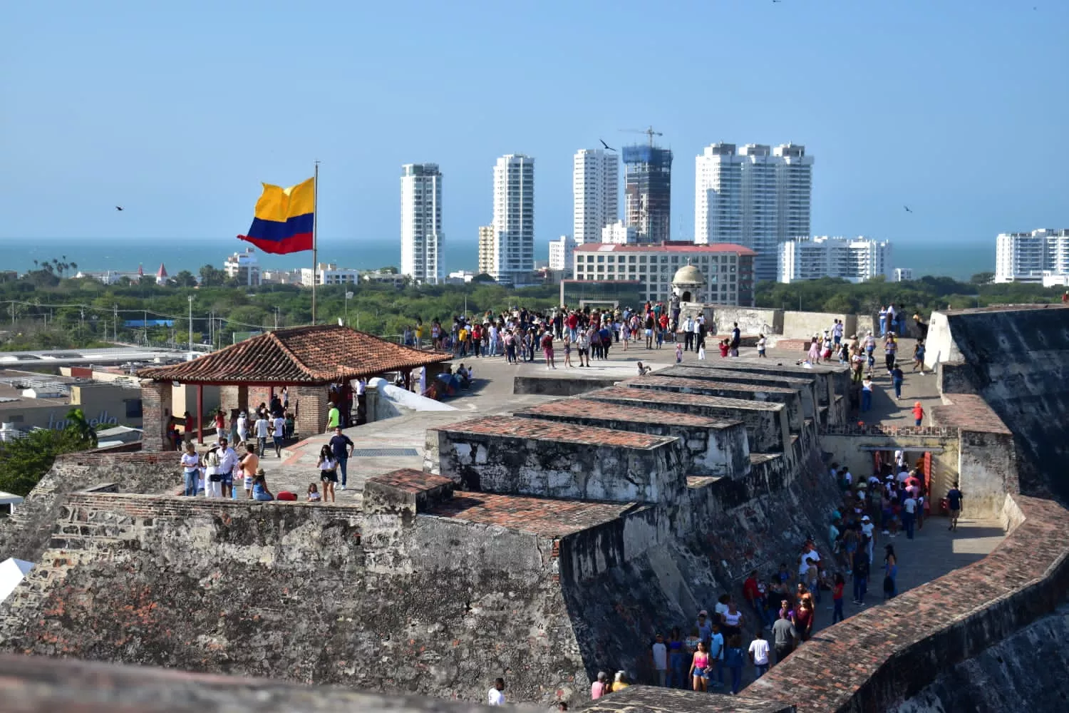 El domingo 30 de julio de 8:00 a.m. a 5:00 p.m. se realizará la jornada de Entrada Gratis