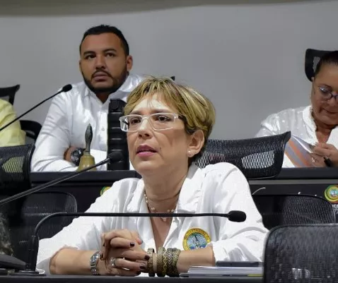 María Patricia Porras, secretaria general, asiste al Concejo, en representación del Distrito, durante la audiencia pública del Proyecto de Acuerdo 02.