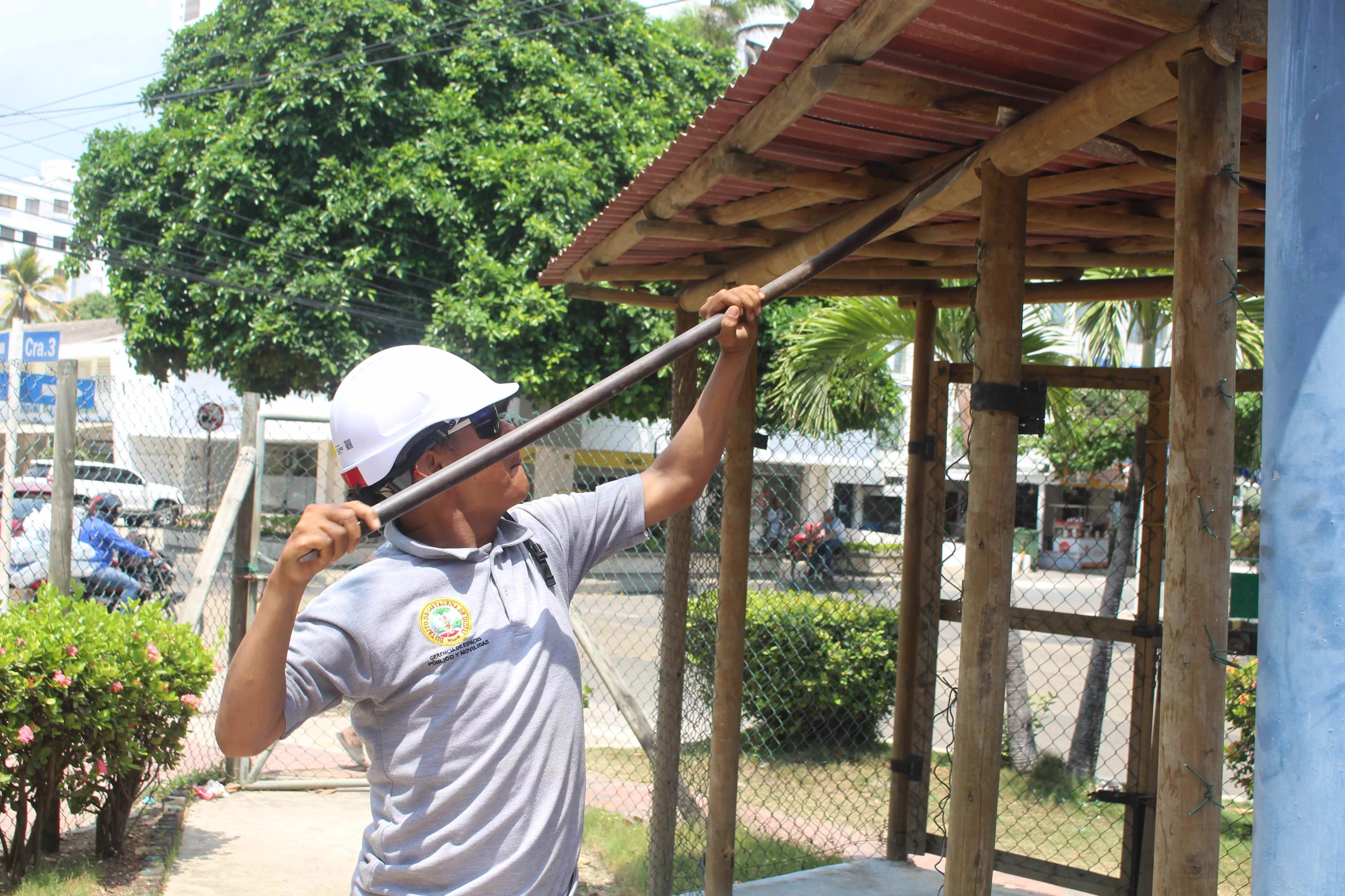 Recuperación Parque Flanagan