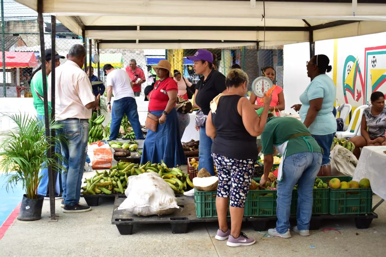 familias se beneficiaron con mercado campesino