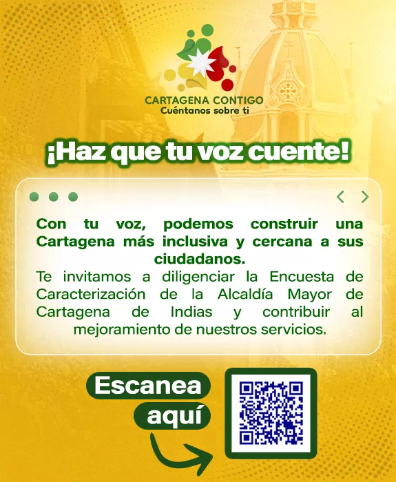 Encuesta Caracterización Movil